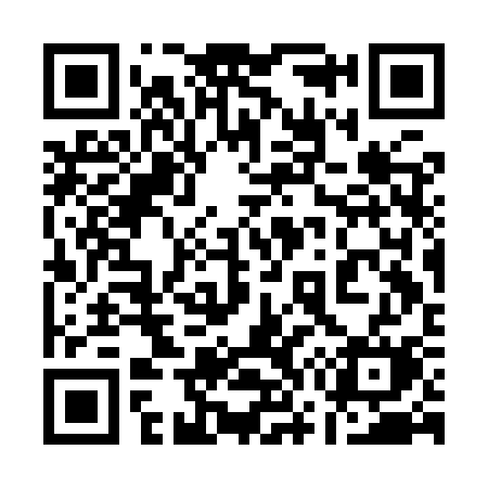 QR code for 173ISM