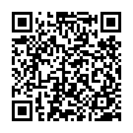 QR code for 193DET