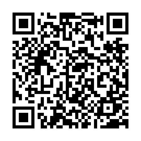 QR code for 194NET