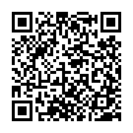 QR code for 196DTS