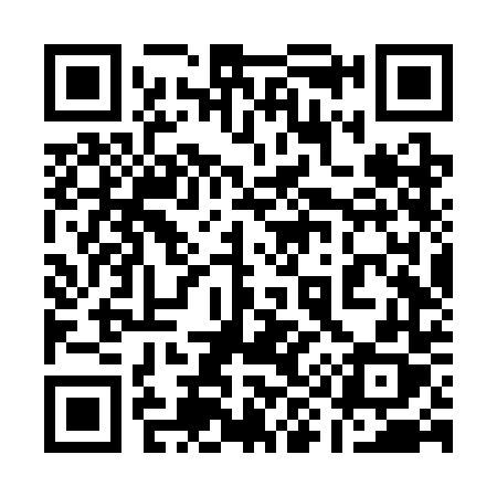 QR code for 196SDX