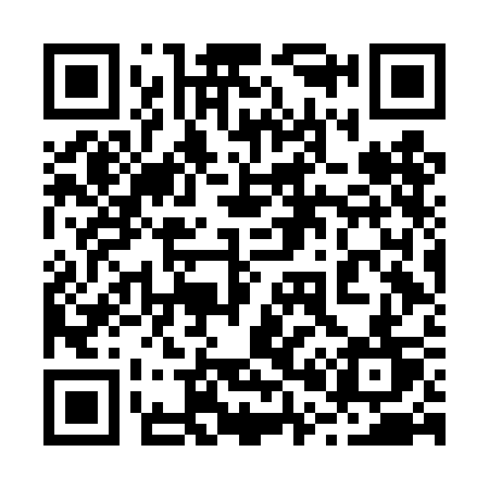 QR code for 206DCT