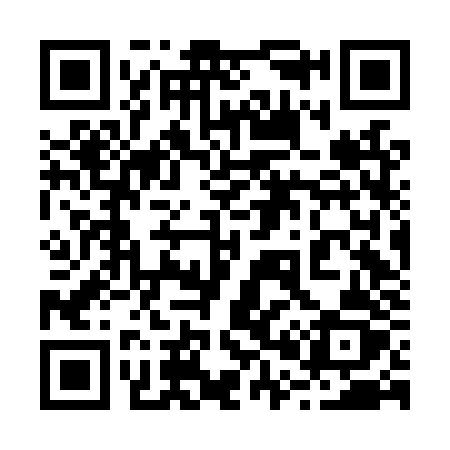 QR code for 206LZZ