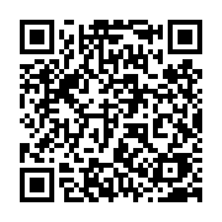 QR code for 206TSE