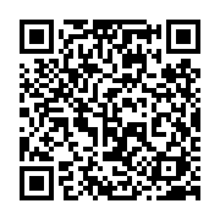 QR code for 213TRI