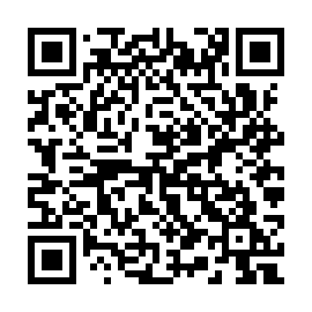 QR code for 216ISG