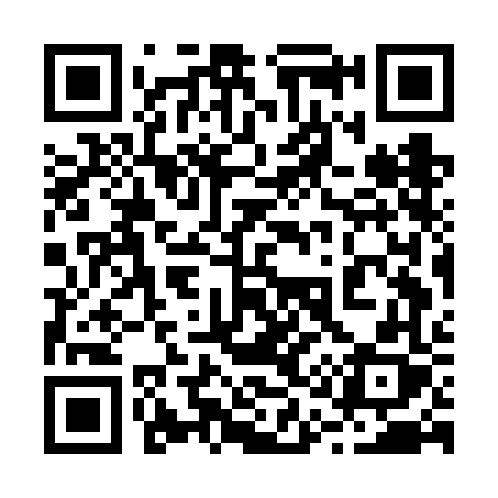 QR code for 217FFX