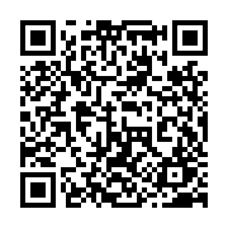 QR code for 219LZT
