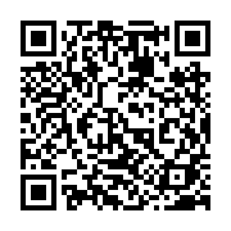 QR code for 219RPI