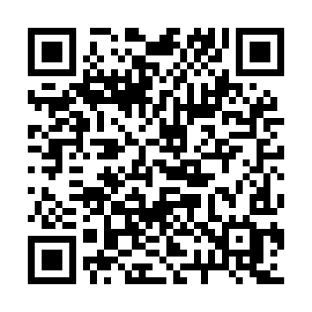 QR code for 220MIG