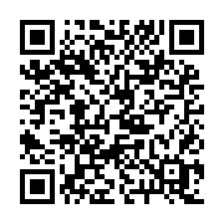 QR code for 221IDG