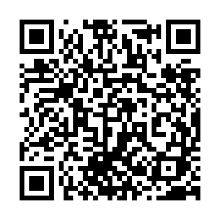 QR code for 221ZDI
