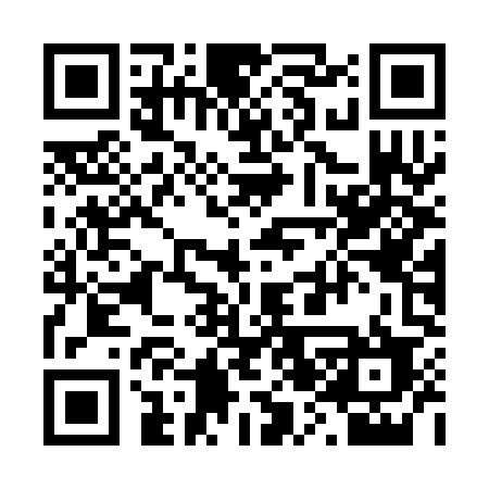 QR code for 225CME