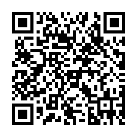 QR code for 225PSS