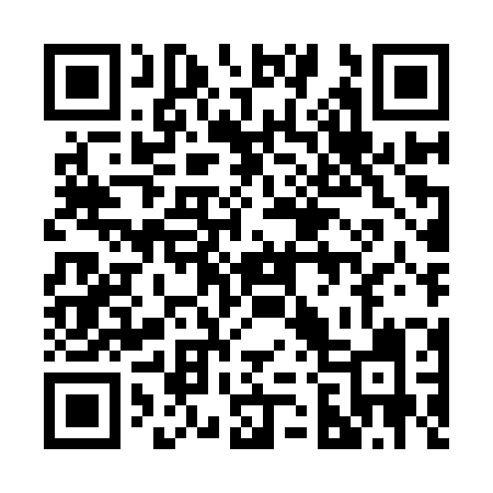 QR code for 228IZI