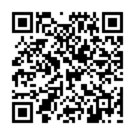 QR code for 228SGX