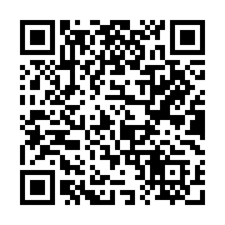 QR code for 228SMC