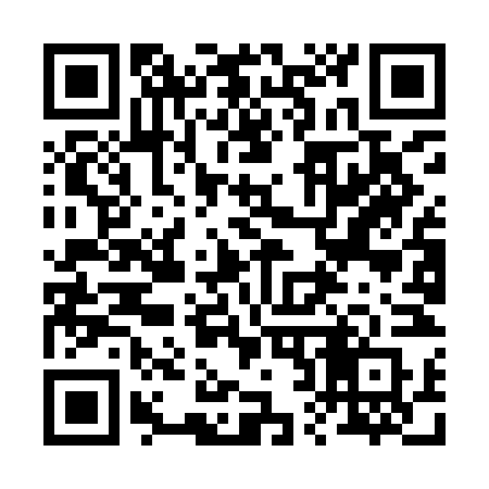QR code for 229INR