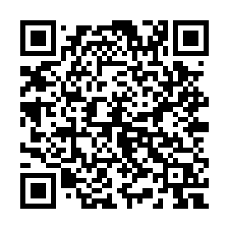 QR code for 238PUP