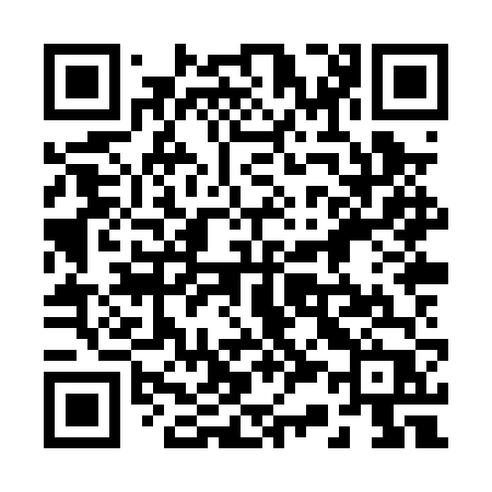 QR code for 238PVP