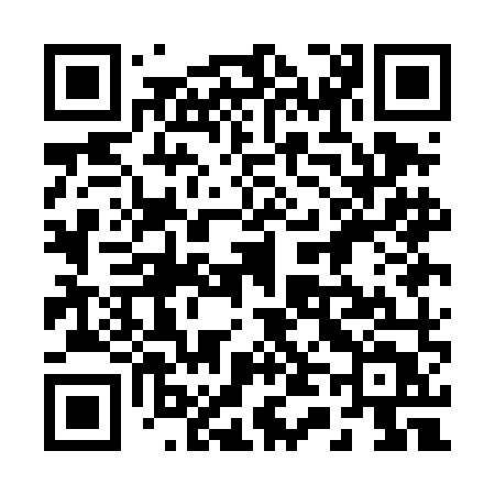 QR code for 241DMT