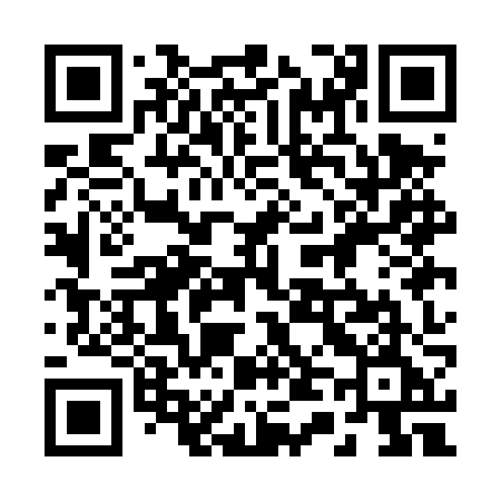 QR code for 241DZE