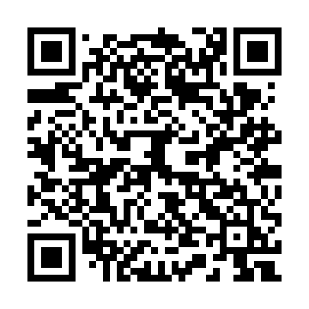 QR code for 243VEJ