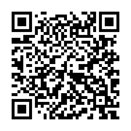 QR code for 246MIN