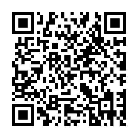 QR code for 248IDI
