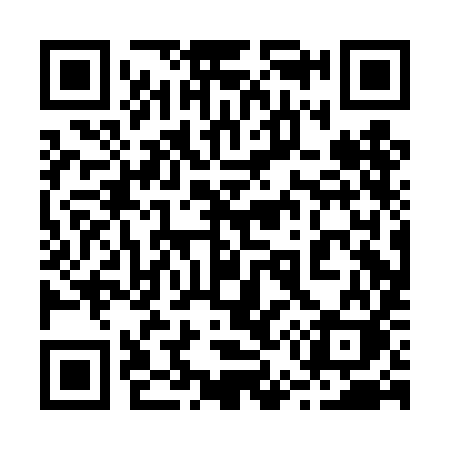 QR code for 250DIK
