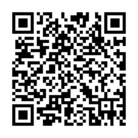 QR code for 250IMV