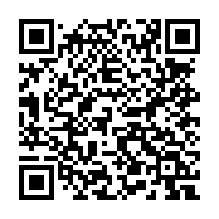 QR code for 250LVL