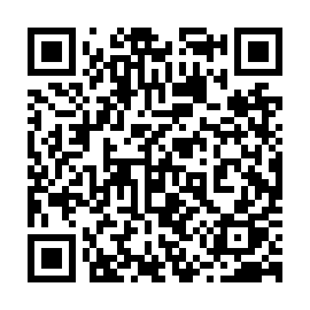 QR code for 250NQP