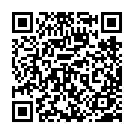 QR code for 250VNP