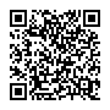 QR code for 253ICE