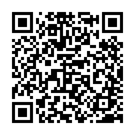 QR code for 256PNS