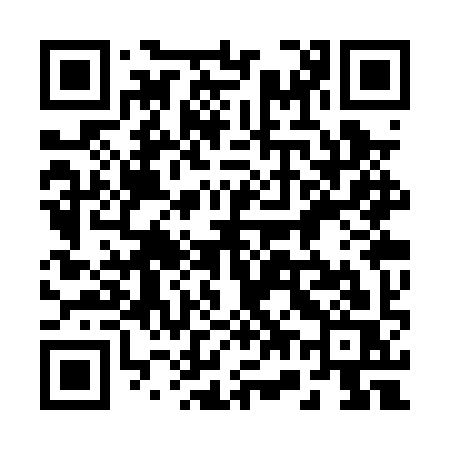 QR code for 273PYS