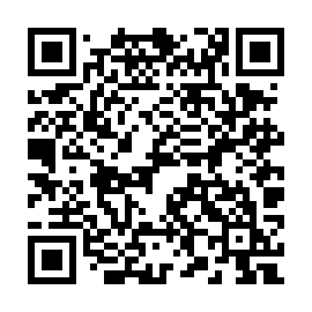 QR code for 286DKK