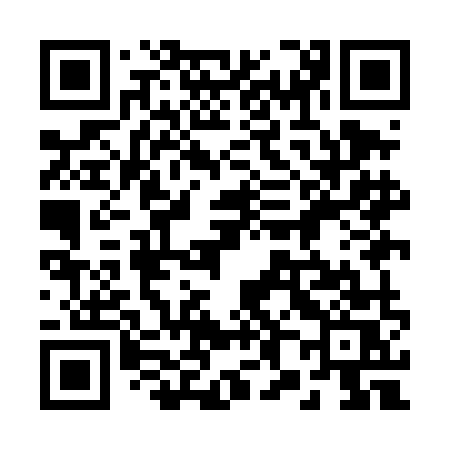 QR code for 289DMS