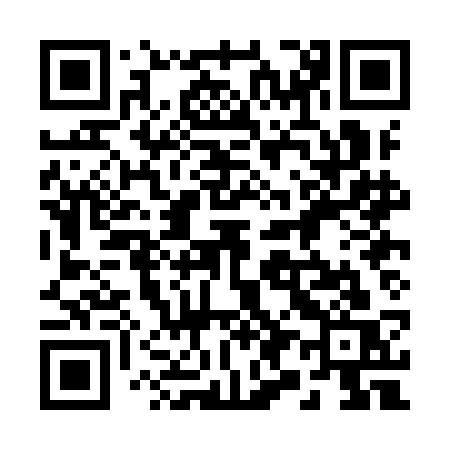 QR code for 290ICS