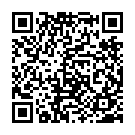 QR code for 290NAT