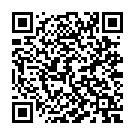 QR code for 290PAT