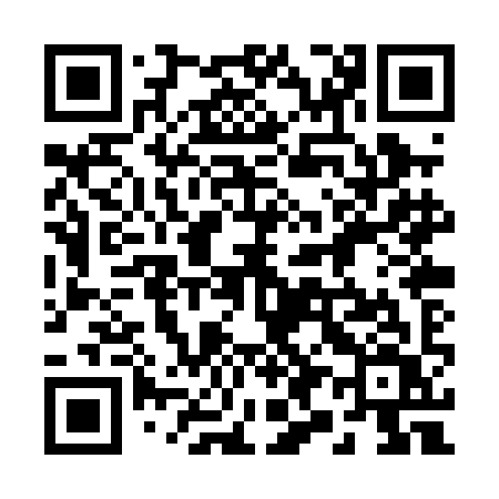 QR code for 290PIV
