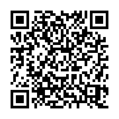 QR code for 290QGP
