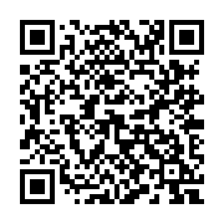 QR code for 290XIG