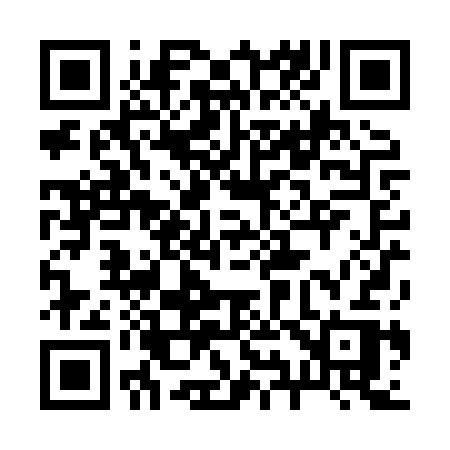 QR code for 290XSR