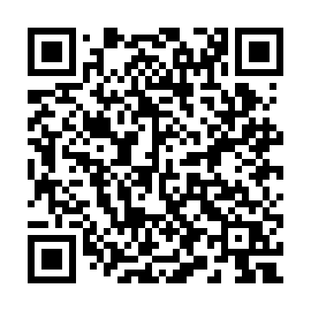 QR code for 291BER
