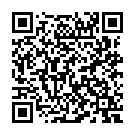 QR code for 291IAU