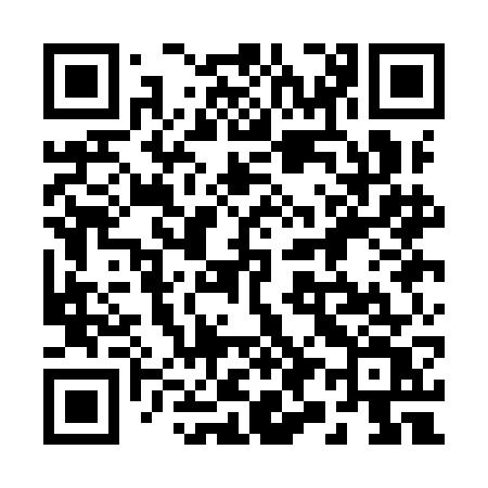 QR code for 291IGV