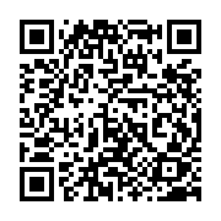 QR code for 291MAZ